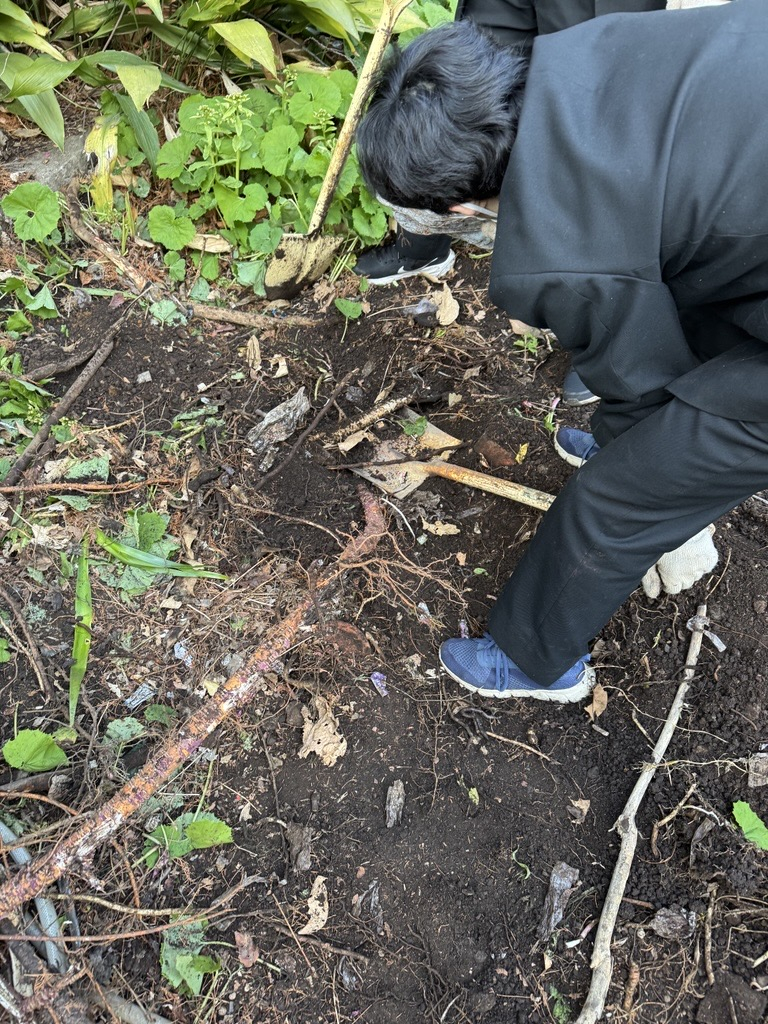 Image - 2026-03-11T200448.082